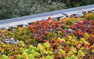 the cost of Marton In The Forest green roof installation