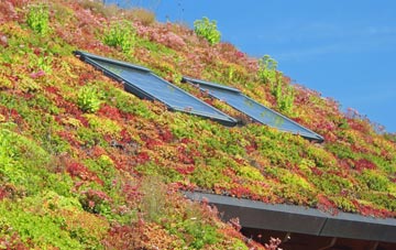 Marton In The Forest living roof systems