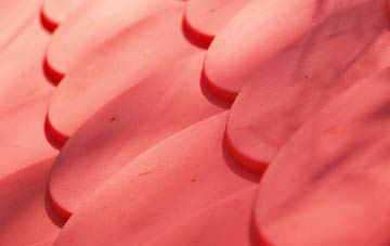 Marton In The Forest plastic roof costs