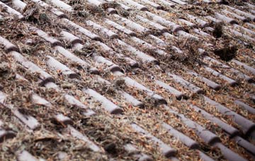 Marton In The Forest roof cleaning companies