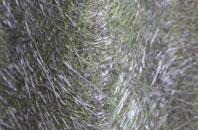 Marton In The Forest fibreglass roof work